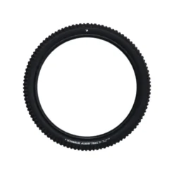 Albert Trail Radial 29