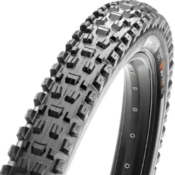 Assegai EXO+ TR MTB-Reifen (29")