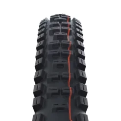 Big Betty Super Trail MTB Reifen 29