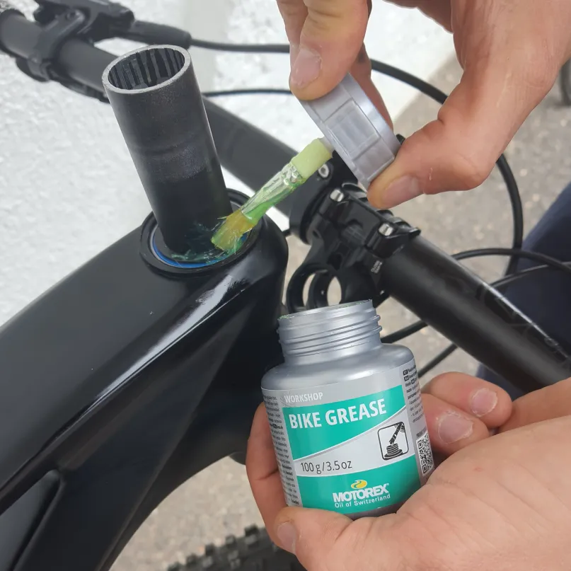 Bike Grease 100 g Schmiermittel mit Pinsel