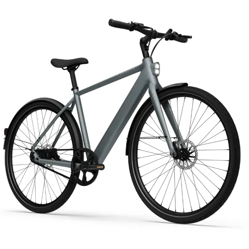 CGO 600 Pro E-Bike City Bike Herren 28" grau
