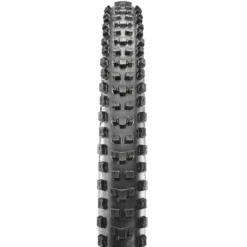 Dissector EXO TR 3C MaxxTerra MTB-Reifen (29