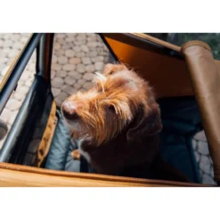 Dog Tammo XXL Fahrradanhänger Hund grün