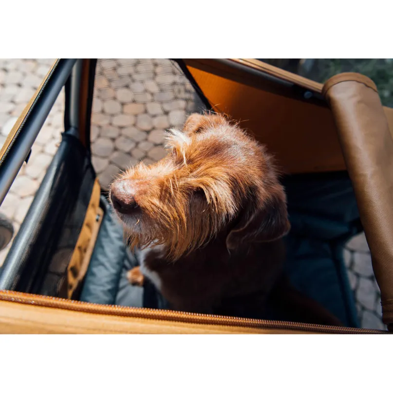 Dog Tammo XXL Fahrradanhänger Hund grün