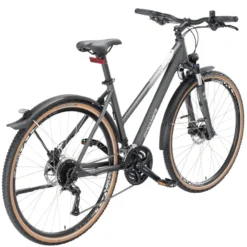Dynamics Gravity Street Cross Crossbike Trapez 28" grau