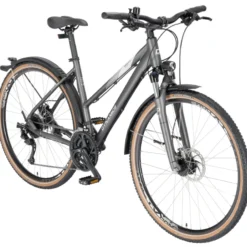 Dynamics Gravity Street Cross Crossbike Trapez 28" grau
