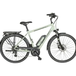 E-Bird 300 E-Bike City Bike Herren 28" grün