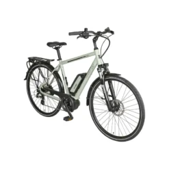 E-Bird 300 E-Bike City Bike Herren 28" grün