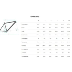 EVO CX 2 E-Bike Mountainbike Hardtail grau