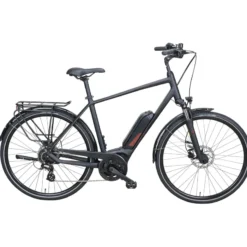 Forte Ultra 508 E-Bike Trekking Herren 28