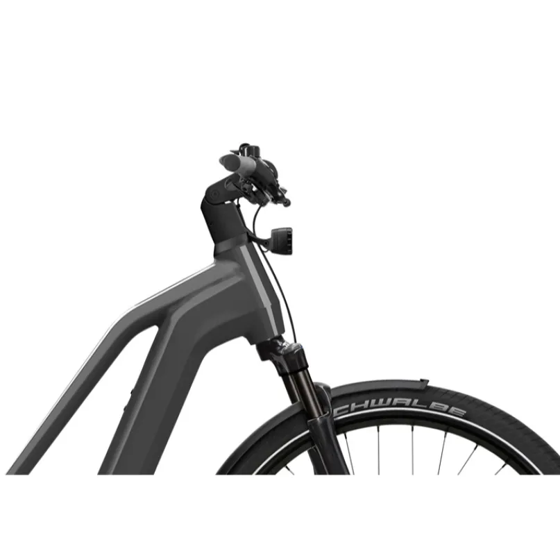 Gotour 7.10 ABS E-Bike Trekkingrad Trapez 29" grau