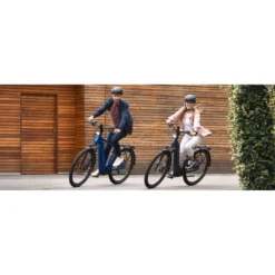 Gotour 5.12 CX E-Bike Trekkingrad Herren 29" grün