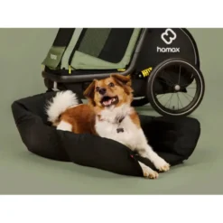 Hundebett M grün