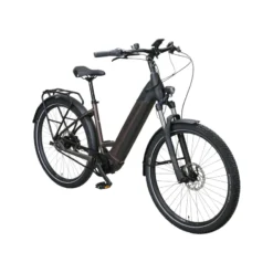 Iconic EVO Belt SUV E-Bike Tiefeinsteiger 27,5" braun