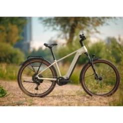 Iconic EVO 1 E-Bike Trekkingrad Herren 29" beige