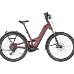 Iconic EVO FS 1 29 SUV E-Bike Tiefeinsteiger 29