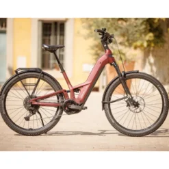 Iconic EVO FS 1 29 SUV E-Bike Tiefeinsteiger 29