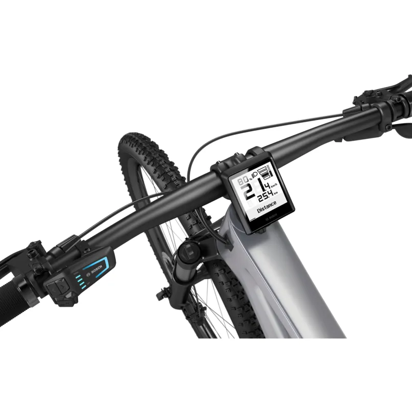 Intuvia 100 E-Bike-Display