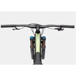Jekyll 1 Mountainbike Fully 29" grün