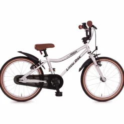 Little Dax Aeron Kinderfahrrad 18" silber