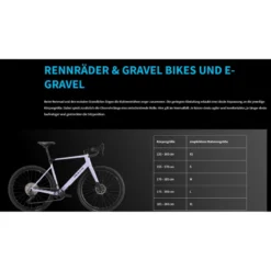 Machete RX 1 Gravel Bike Jubiläumsmodell 28" grau