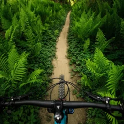 Mazza Trail MTB-Reifen (27,5