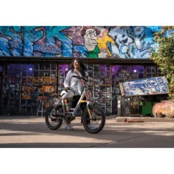 N3.8 ZR by Sadkowsky E-Bike Kompaktrad 20" Sondermodell
