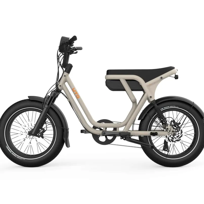 OG200 E-Bike Kompakt Lastenrad 20" beige