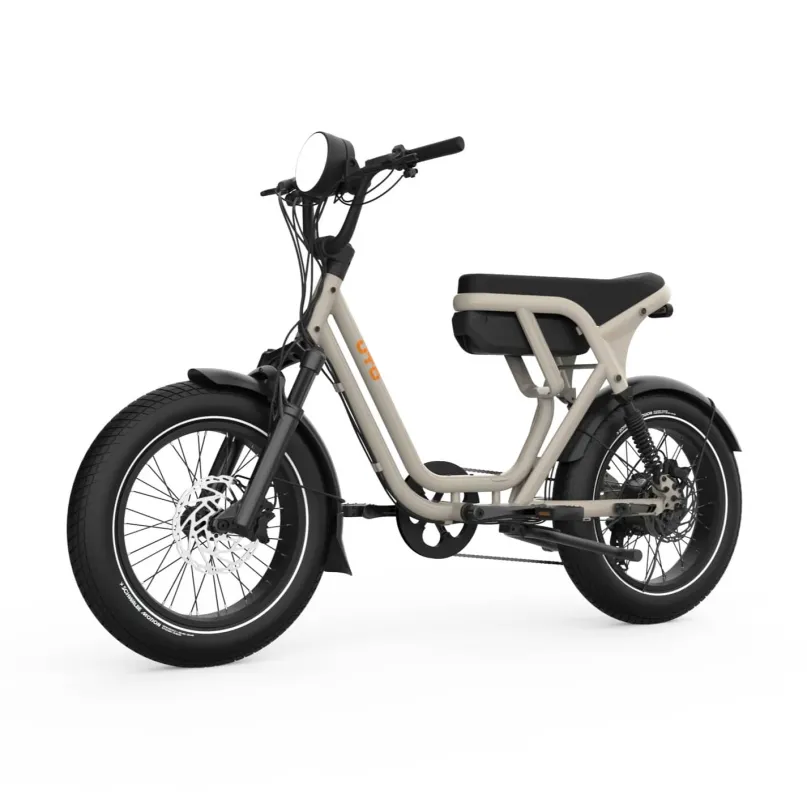 OG200 E-Bike Kompakt Lastenrad 20" beige