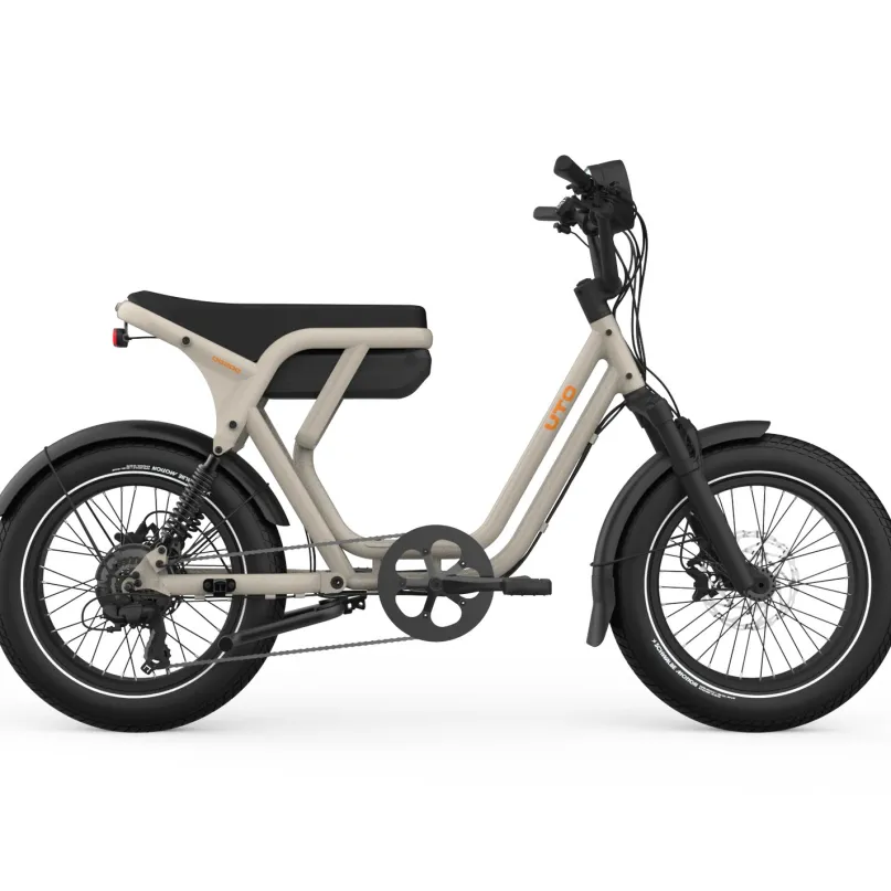 OG200 E-Bike Kompakt Lastenrad 20" beige