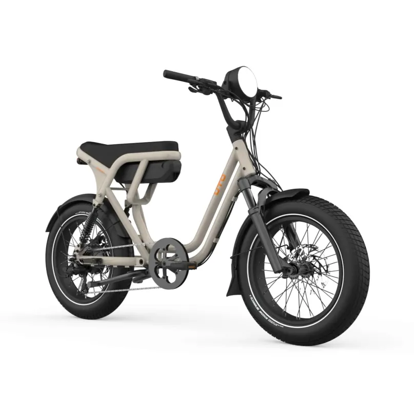 OG200 E-Bike Kompakt Lastenrad 20" beige