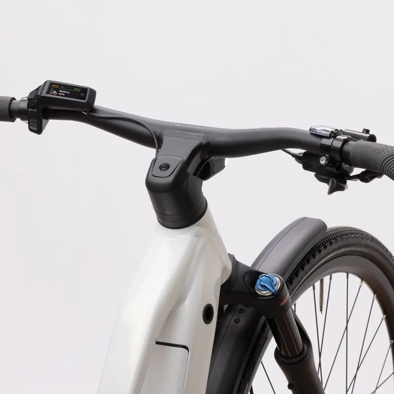 Passage 10 Belt Men E-Bike City Bike Herren 29" grau