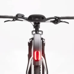 Passage 10 Belt Men E-Bike City Bike Herren 29" grau