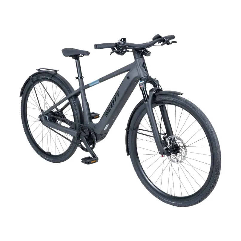 Passage 10 Belt Men E-Bike City Bike Herren 29" grau