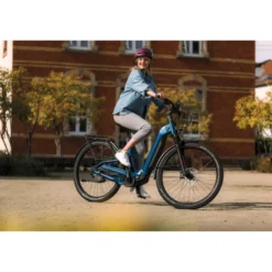 Pinniato FS Sport SUV E-Bike Tiefeinsteiger 29