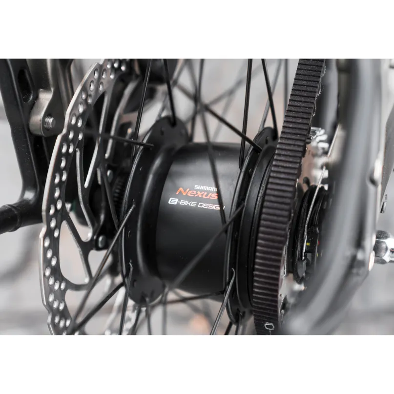 Premio EVO 5F Belt E-Bike Trekkingrad Tiefeinsteiger 28" silber