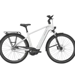 Premio EVO 5F Belt E-Bike Trekkingrad Herren 28