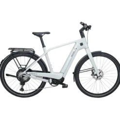 Quadrano Pro 12 LTD Carbon E-Trekkingrad Herren 28" grau