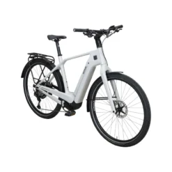 Quadrano Pro 12 LTD Carbon E-Trekkingrad Herren 28" grau