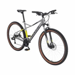 Raptor Disc Mountainbike Hardtail silber
