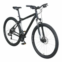 Raptor Disc Mountainbike Hardtail 29" schwarz