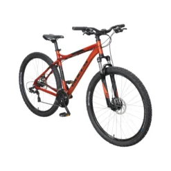 Raptor Disc Mountainbike Hardtail 29