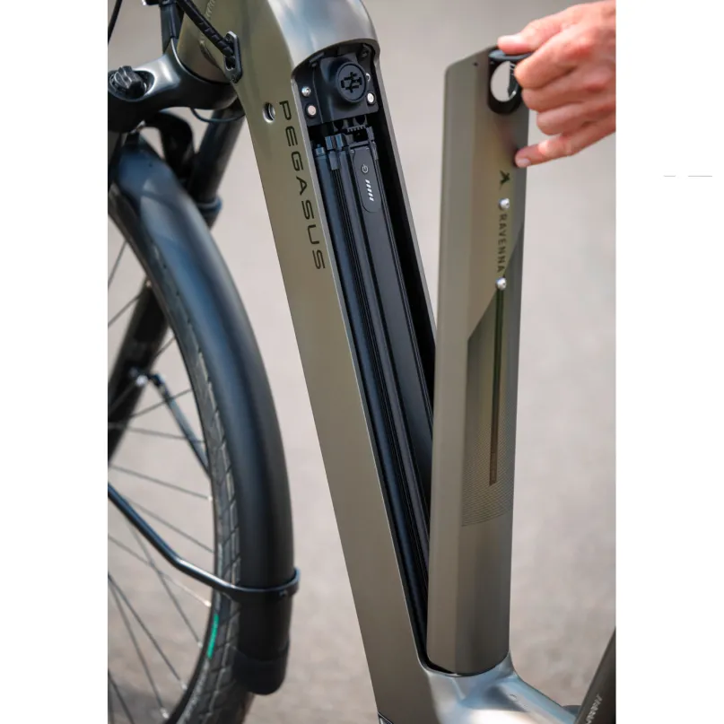 Ravenna EVO 7F Belt E-Bike City Bike Tiefeinsteiger 28" grau