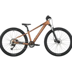 Roxter 600 Jugendfahrrad 26" braun