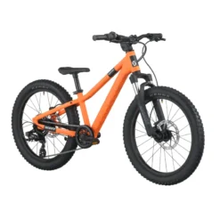 Roxter 200 Kinderfahrrad 20" orange