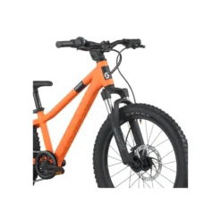 Roxter 200 Kinderfahrrad 20