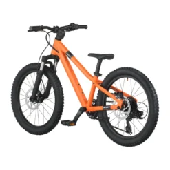 Roxter 200 Kinderfahrrad 20