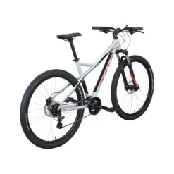 Sharptail RL Disc Mountainbike Hardtail grau