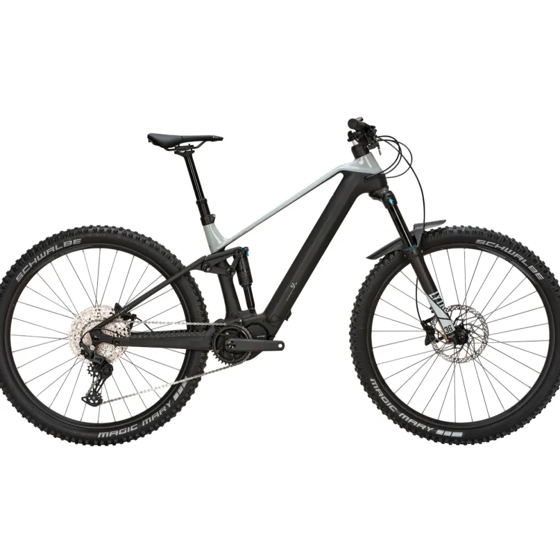Sonic EVO AM-SL 1 E-Bike Mountainbike Fully 29" grau