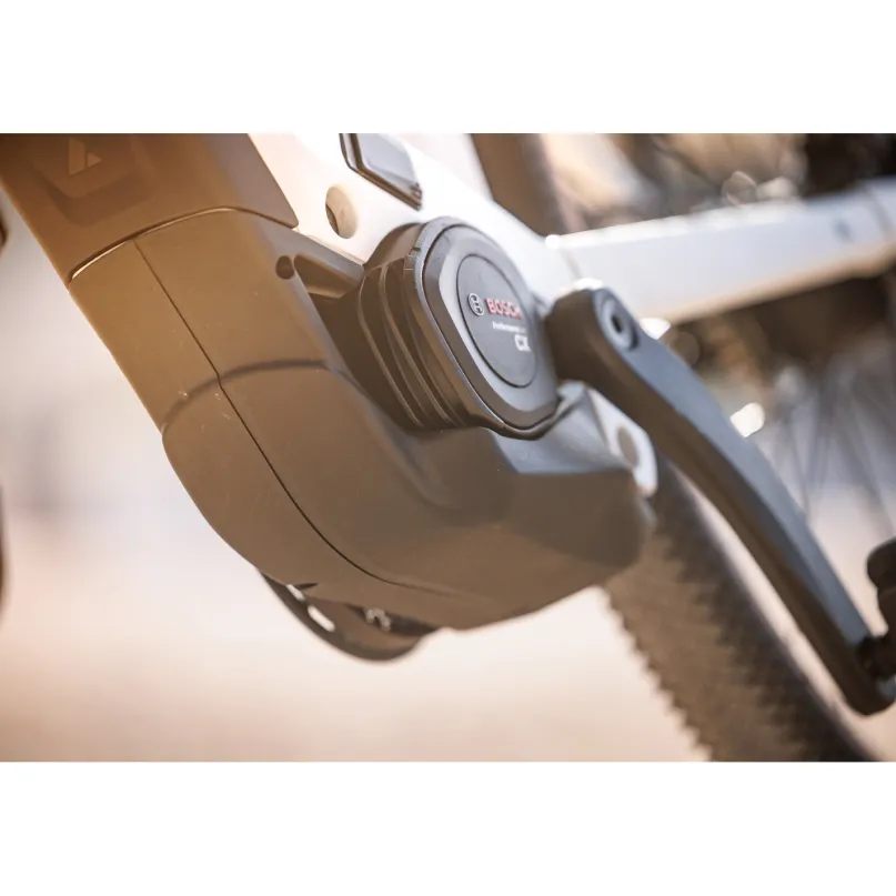 Sturmvogel EVO Belt E-Bike City Bike Herren 29" weiß